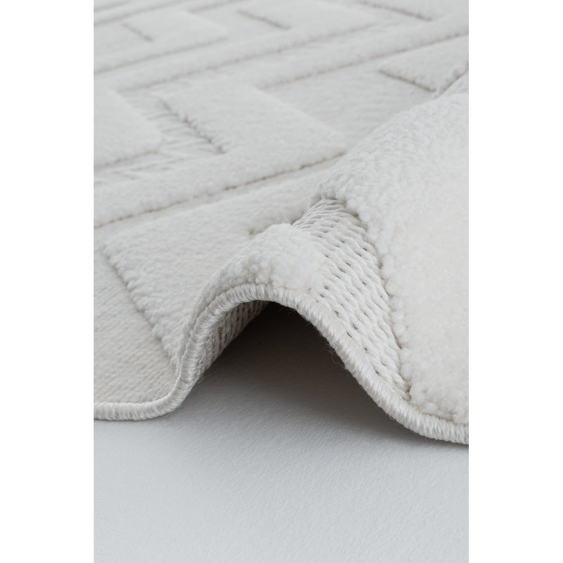 Raychell Machine Made Indoor / Outdoor Area Rug, Rectangle 160 x 300cm