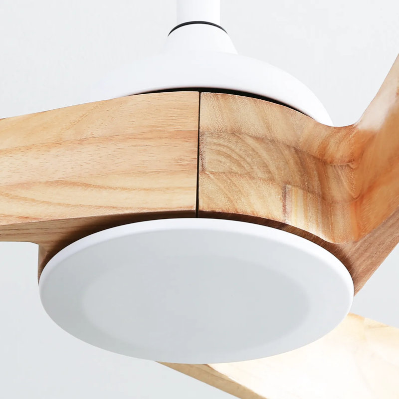 Kemp 52'' 3-Solid Wood Blade Modern Propeller Ceiling Fan with Remote Control and no Light, White with Burlywood Blades