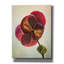 «Epic Graffiti» «Lenton Rose II» par Debra Van Swearingen, art mural sur toile, 12 po x 16 po