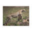 No Frame Print on Canvas