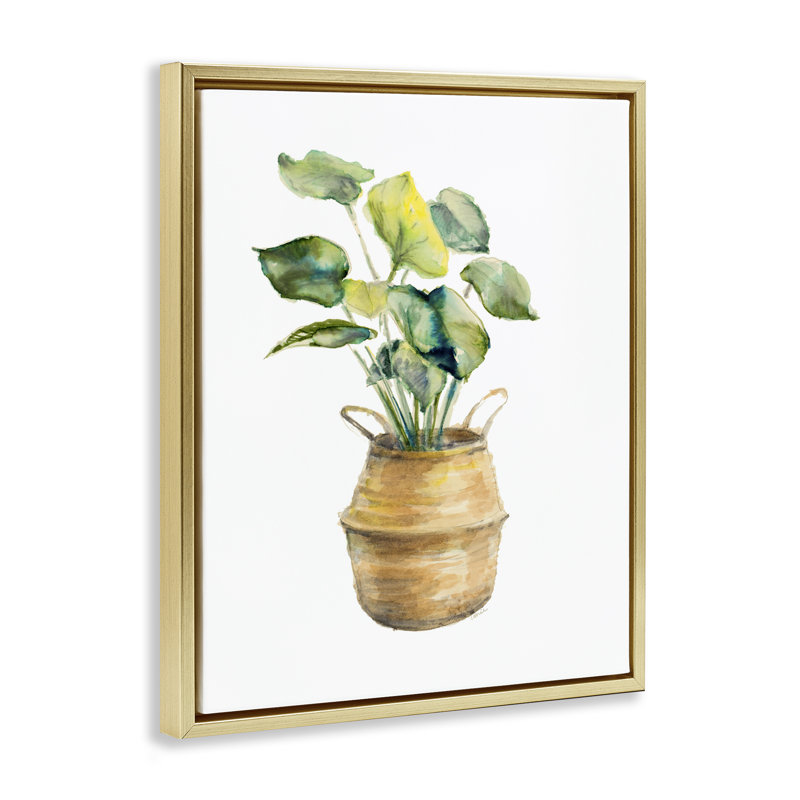 "Plant in Pottery", art mural sur toile flottante par Lanie Loreth, Cadre flottant métallique doré, H 21 po x l 17 po