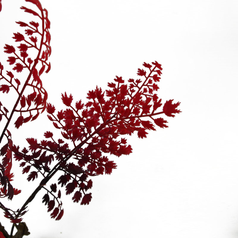 70cm Faux Foliage Plant in Pot, Red