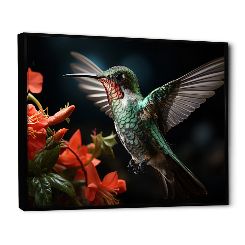 Teal Coral Hummingbird Portrait - Animals Wall Decor, H 30 po x l 40 po x P 1,5 po, Cadre flottant noir