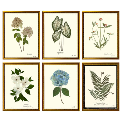 Pressed Botanical Framed Set