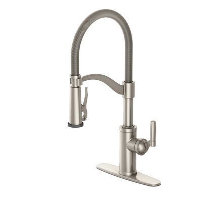 Vetta Pull Out Kitchen Faucet