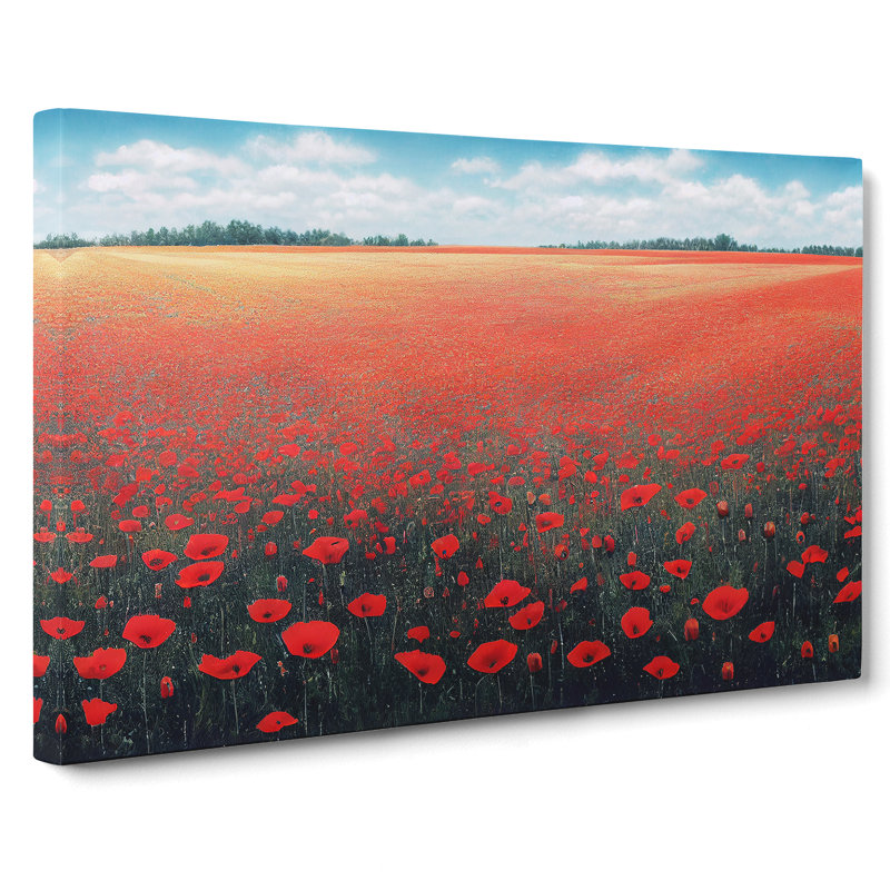Elegant Poppies Flowers - Wrapped Canvas Print, 35cm H x 50cm W x 3cm D