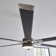 Penton Ceiling Fan with LED Lights