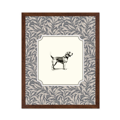 Beagle Dog