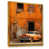 Gold Floater Framed