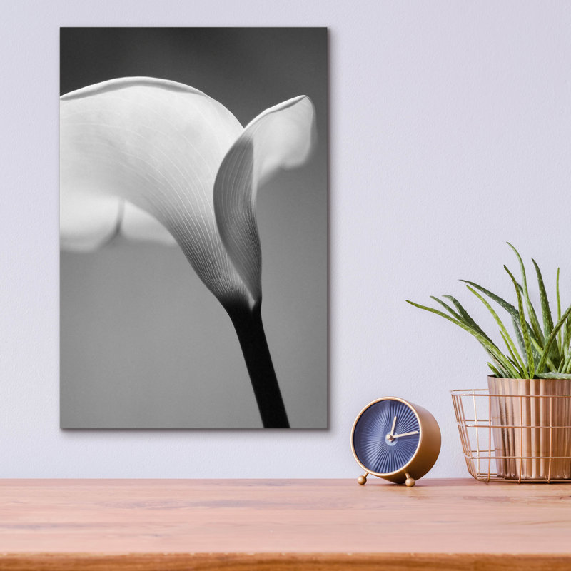 «Calla No. 6» par PhotoINC Studio, H 16 po x l 12 po x P 0,13 po