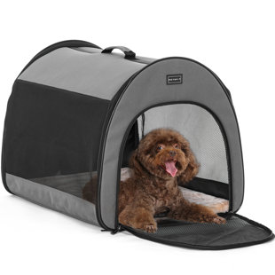 Caisse pour animaux