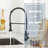 Augusts Pull Down Kitchen Faucet