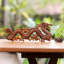 Handmade Wood Wall Decor