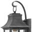 Adair 1-Light Outdoor Wall Lantern