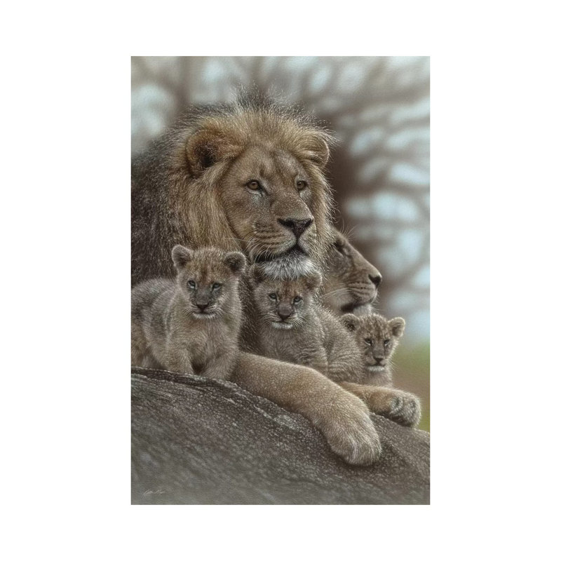 Lion - Family Man by Collin Bogle - Wrapped Canvas Print, 20.32 cm H x 30.48 cm W