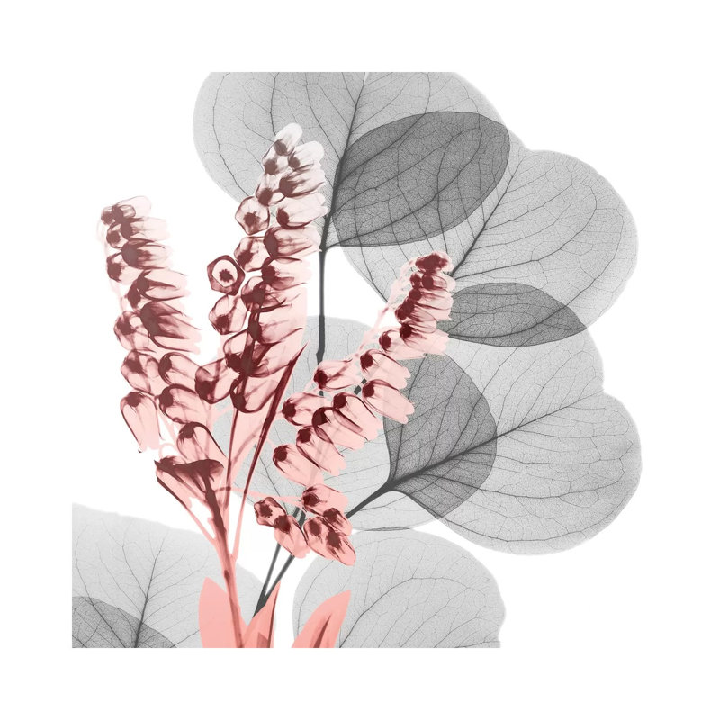 Eucalyptus Blush II by Albert Koetsier - Wrapped Canvas Painting, 66.04 cm H x 66.04 cm W x 1.91 cm D