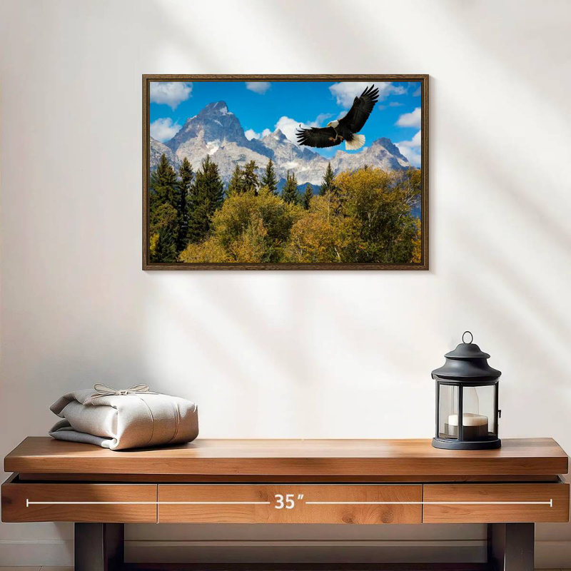 Grand Teton Eagle, 19 po x 13 po, Cadre flottant en noyer