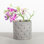 Cement Indoor / Outdoor Cachepot