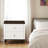 Dzianis 2-Drawer Nightstand in White and Walnut