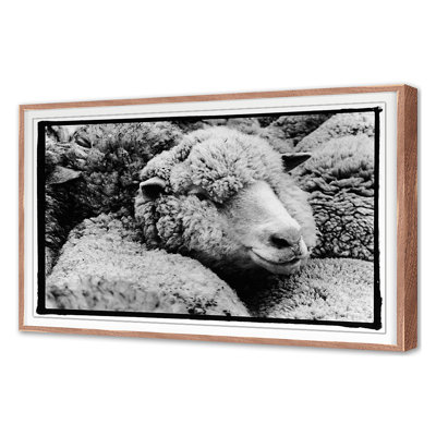 Été 2022 «a Fleece in the Crowd» par Amy Raab - reproduction d'un seul cadre