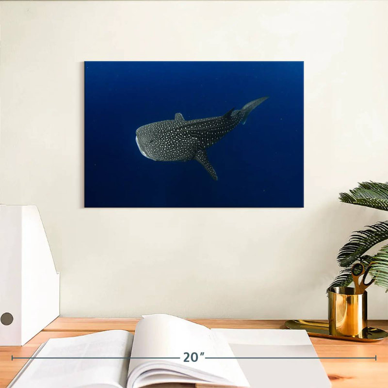 Brampt Whale Shark In Deep Blue Water, 8" H x 12" W
