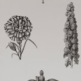Guayana Floral Wallpaper Roll