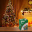 Lumières scintillantes de Noël à DEL Tupkee - 16 de 100 ampoules scintillantes - lumières multicolores à DEL pour arbre de Noël - intérieur extérieur - guirlande lumineuse de 24,75 pieds, scintillement scintillant des Fêtes-118910712