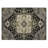Machine Washable Indoor/Outdoor Chayden ACN1036 Rug-2123992270