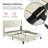 Velvet Upholstered Bed with Wingback Headboard-195891510-195891511