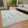 Machine Washable Indoor/Outdoor Xhevrie Aloe Rug