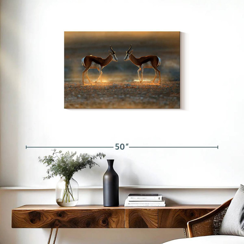 Brampt Springbok Antelopes, 20" H x 30" W