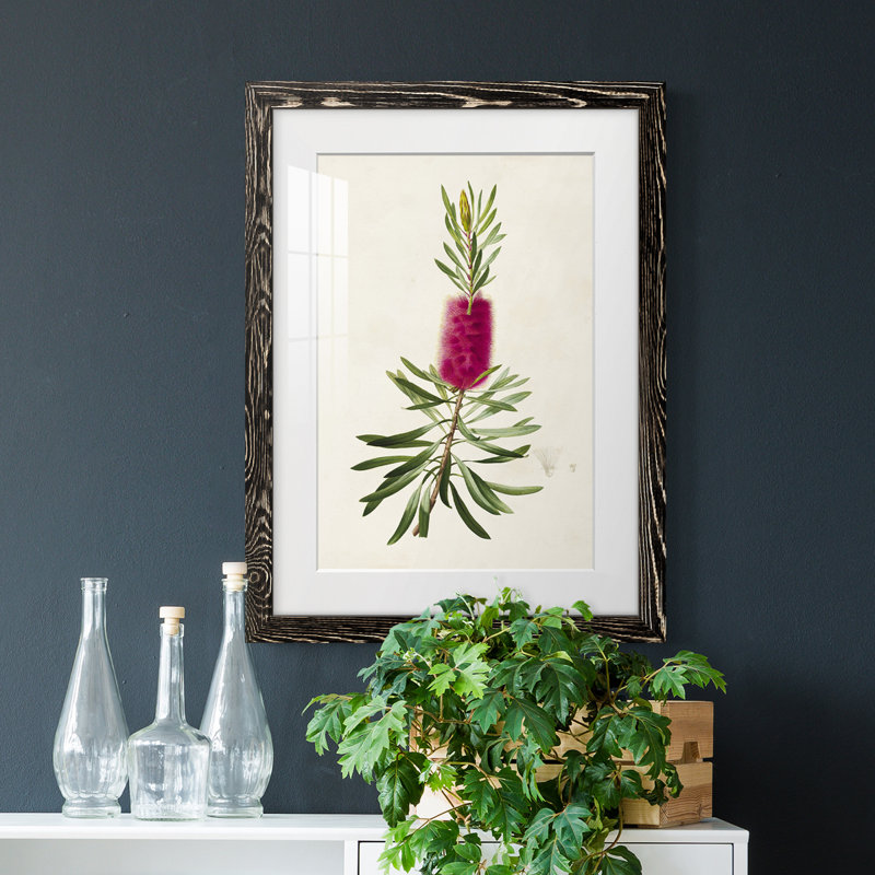 «Pretty Botanicals VII», impression encadrée, Cadre noir, H 32 po x l 23 po x P 1 po