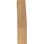 Attelle impériale du genou-29309856-31229264-31229277