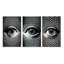 "Œil monochrome", 3 pièces sur toile-865110596-865110607