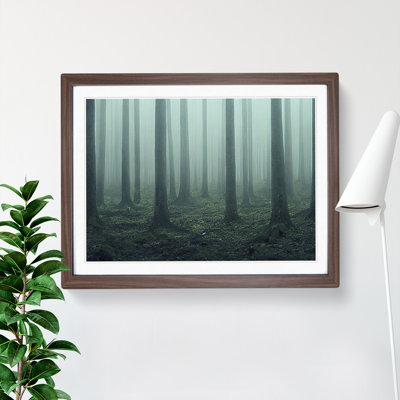 A Captivating Forest - Framed Print