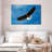 Eagle From Below-107863332