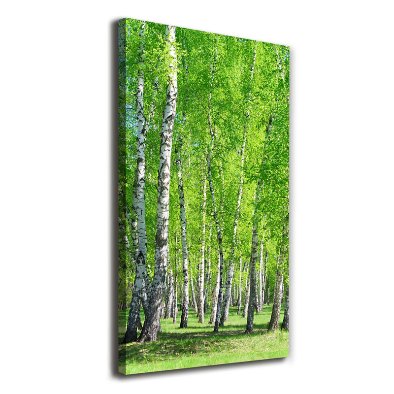 Birch Forest - Wrapped Canvas Print