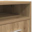 Makenzlie 33cm Wide File Cabinet-1184897536