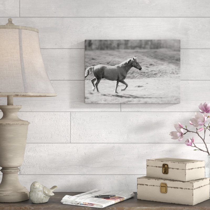Pasture Run by Sue Schlabach - Wrapped Canvas Print, 30cm H x 46cm W