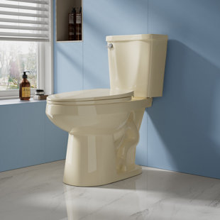 17" Tall Seat 2-Piece Toilet 1.28 GPF Single Flush Elongated Map Flush 1000g with Soft-Close Seat