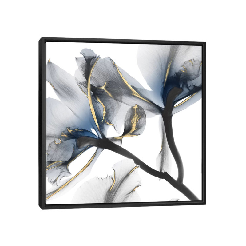 «Lustre Cyclamen II», impression sur toile, H 37 po x l 37 po, Toile encadrée, Noir
