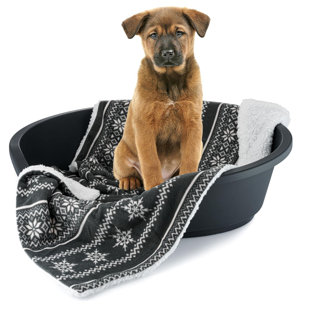 Pet Blanket