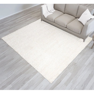 Indoor / Outdoor Area Rug