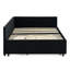 Lit tapissier double en velours noir avec lit gigogne, dossier confortable et rayures verticales, convient au salon de bureau, assemblage facile, lit de jour à structure en eucalyptus