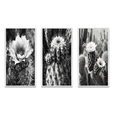 «Gray Desert Cactus», 3 pièces sur toile