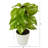 9'' Faux Pothos Plant in Planter