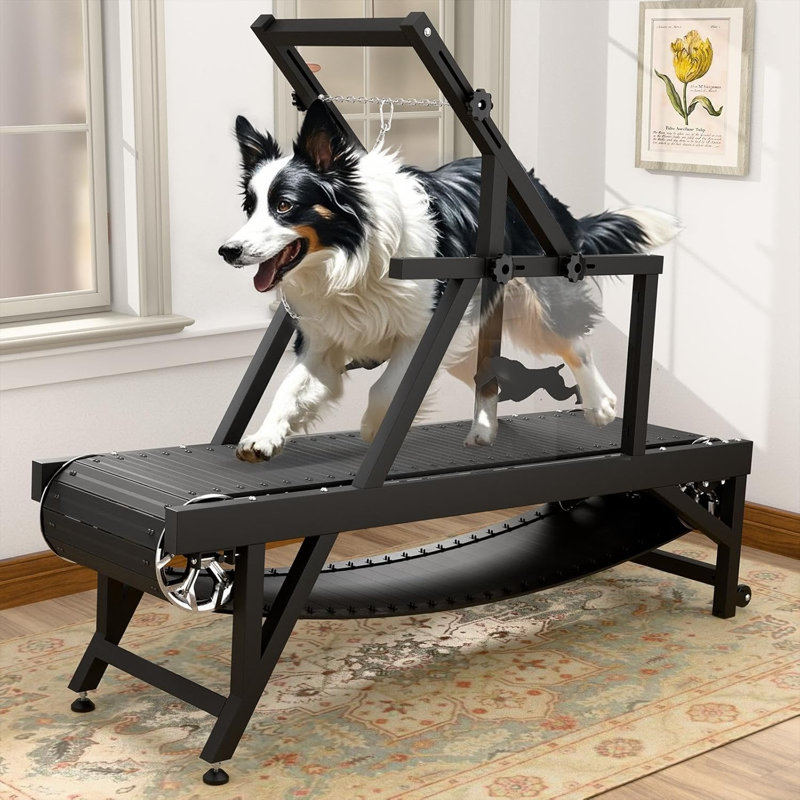 Non-Motorized Dog Treadmill with Adjustable Frame and Quick-Stop Brake
