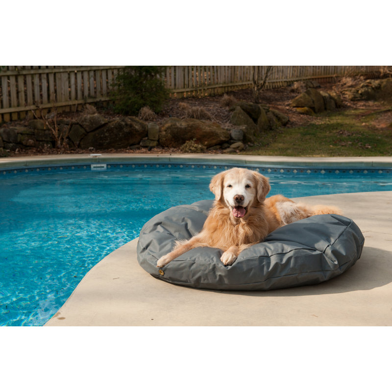 Coussin pour chien imperméable Snoozer, Grand (l 48 po x P 48 po x H 4 po), Noisette