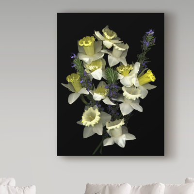 «Daffodils and Rosemary» par Dosta, impression sur toile tendue