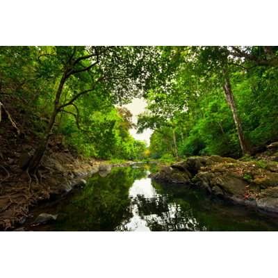 Montezuma Rainforest Costa Rica par Mlenny